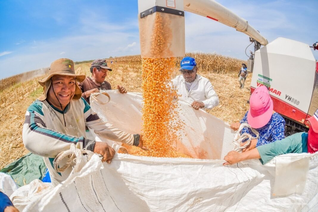 agricultura boa vista agricultura boa vista