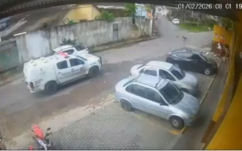 cães atropelados viatura pm