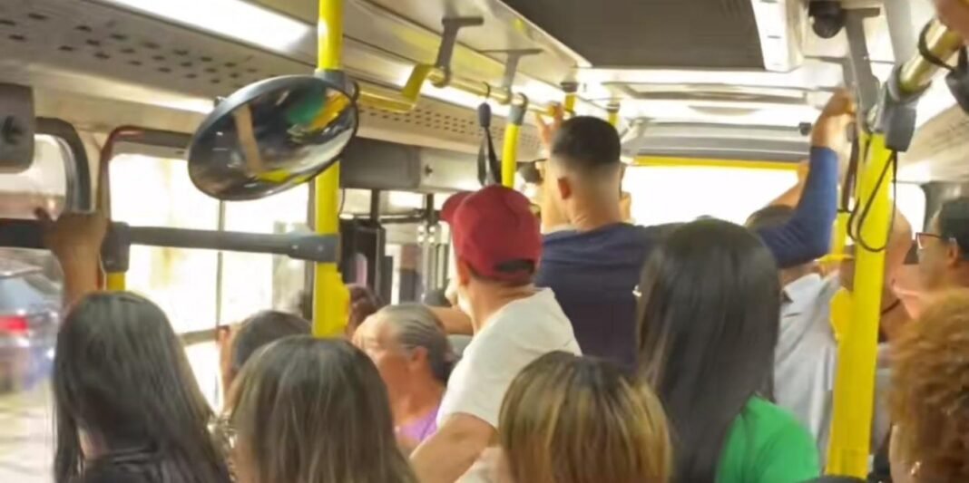 pf polícia federal ônibus passageiros