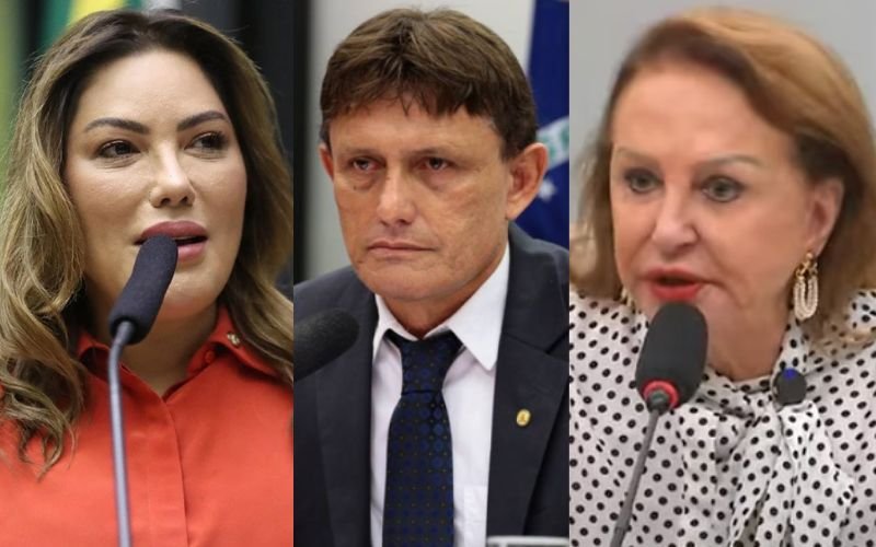 Renilce Nicodemos (MDB), Delegado Éder Mauro (PL) e Elcione Barbalho (MDB) representam bancada paraense sobre o fim da escala 6x1 - Foto: Montagem/O Fato. Renilce Nicodemos (MDB), Delegado Éder Mauro (PL) e Elcione Barbalho (MDB) representam bancada paraense sobre o fim da escala 6x1 - Foto: Montagem/O Fato.