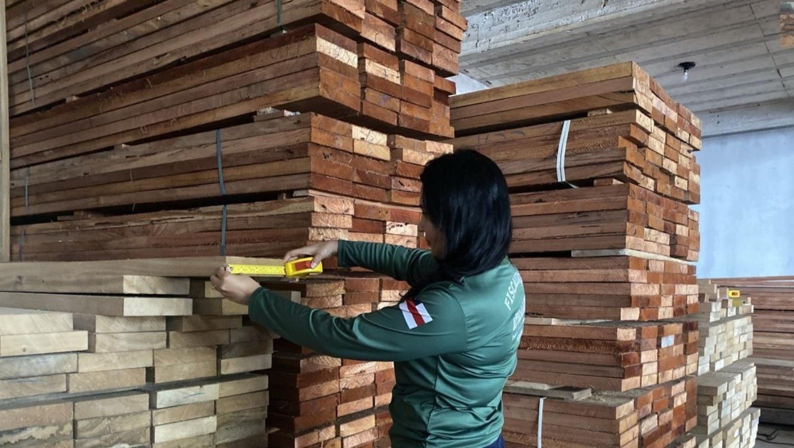 Foto: Divulgação/Ipaam.