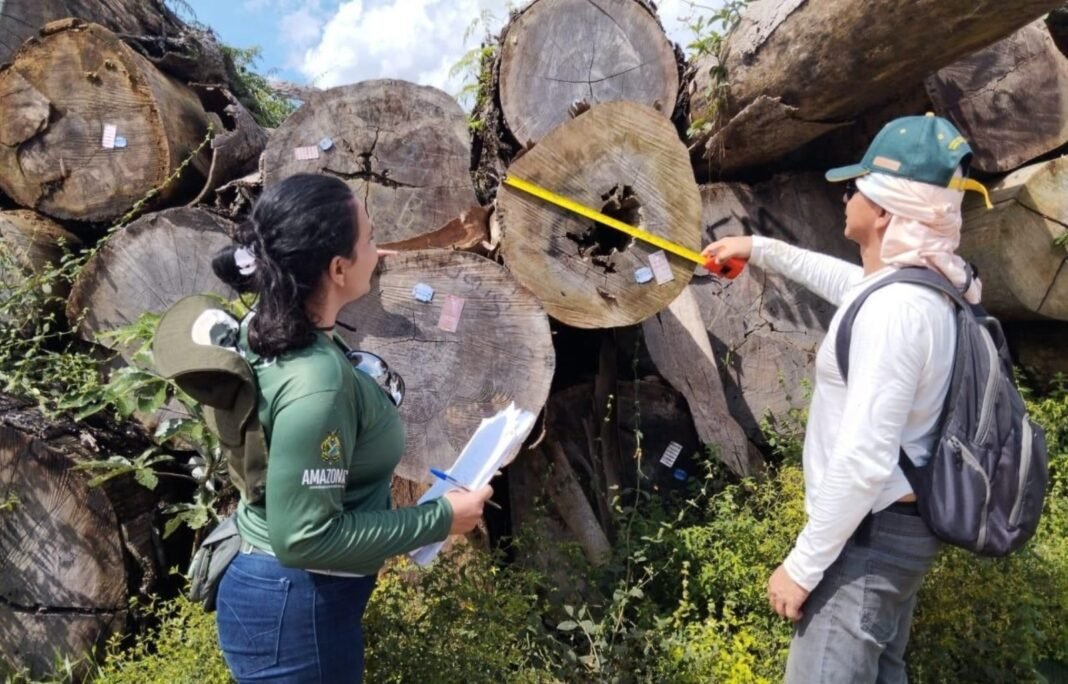 Ipaam define novas regras - Foto: Foto: Divulgação/Ipaam. Ipaam define novas regras - Foto: Foto: Divulgação/Ipaam.
