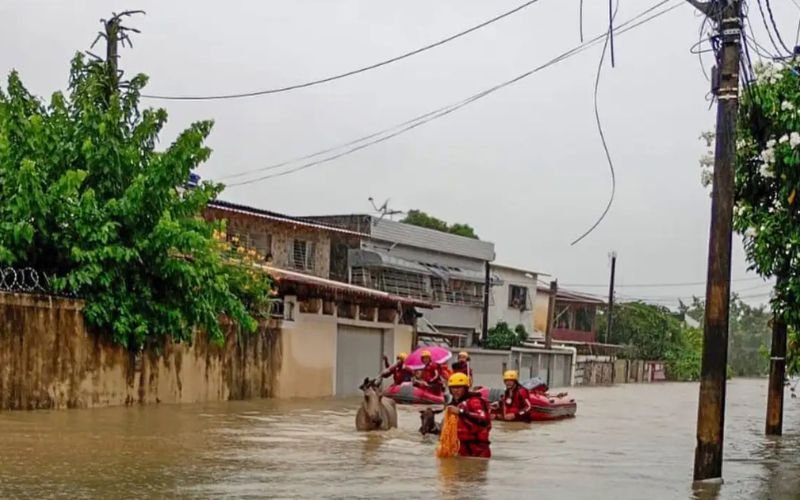 Municípios são afetados pelas chuvas em Pernambuco - Foto: Defesa Civil-PE.